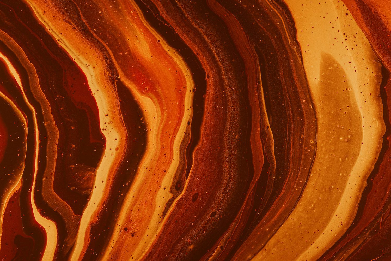 Probiotic Supplement