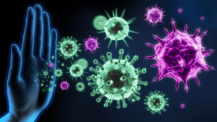 Werking immuunsysteem | Perfect Health