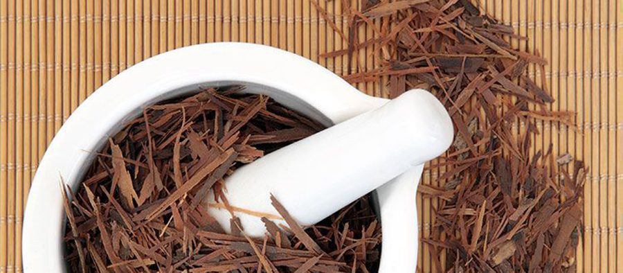 Pau d'Arco | Perfect Health