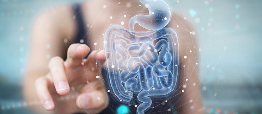 Inuline vezels | Perfect Health