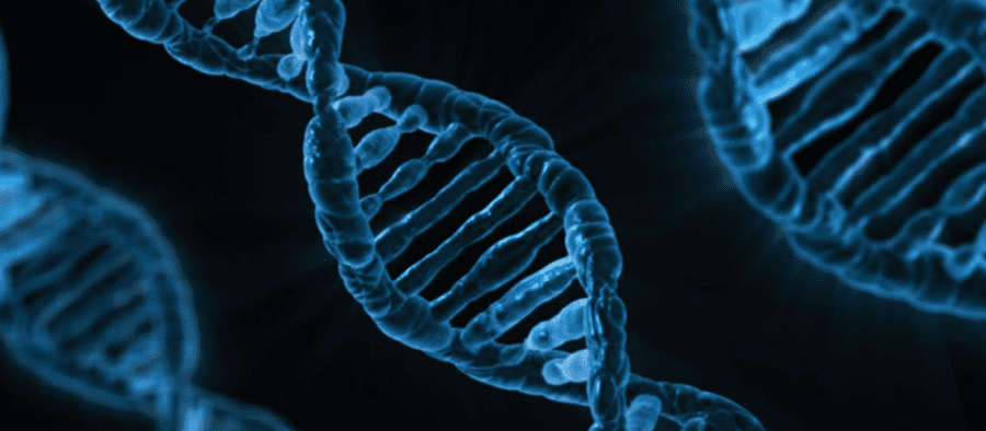 DNA