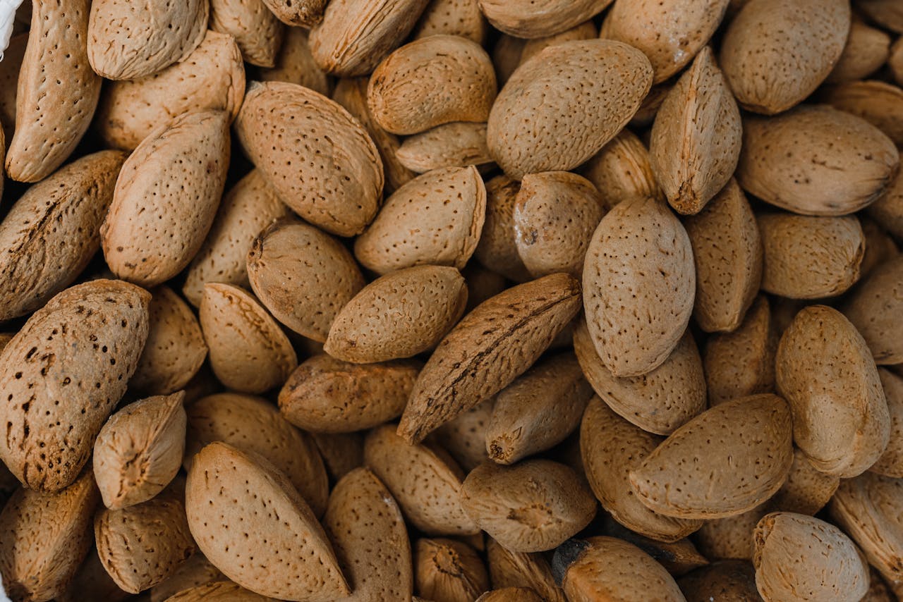 Waar zit magnesium in?